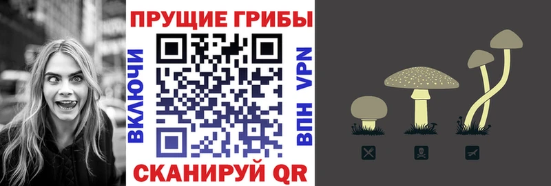 Псилоцибиновые грибы ЛСД  Купить закладки  Вяземский 